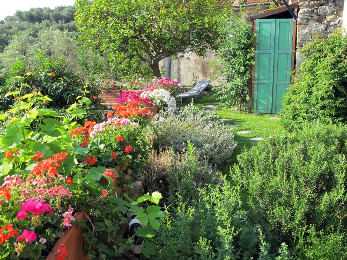 B&B Sul Cammino Oneglia Exteriör bild